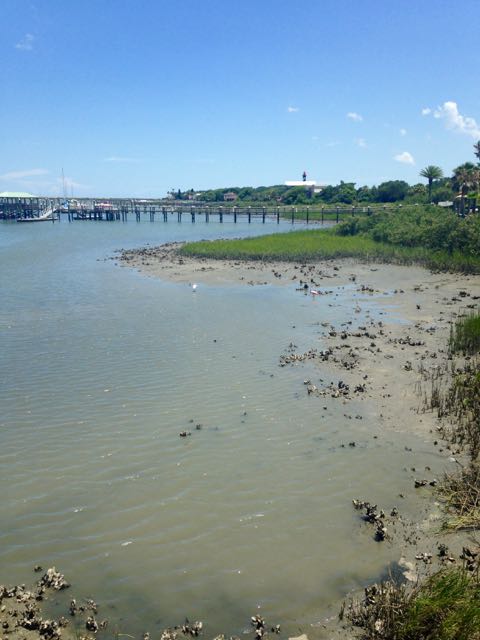 Flamingos and lighthouse in St. Augustine